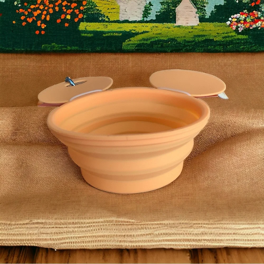 Disney ~ Portable Pet Bowl